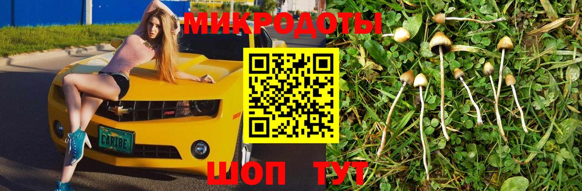 Псилоцибиновые грибы прущие грибы  Вход с VPN  Зеленокумск 